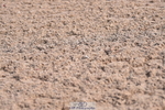 230511A-091644-00043