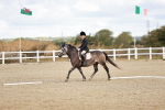 SBM_009873