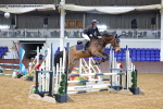 Class 14 - Clear Round 80cm portfolio