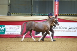 SBM_00448