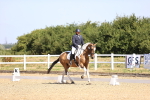 SBM_009305