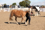 SBM_12958