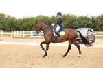 SBM_006013