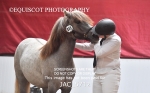 JAC_5712