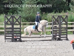 BPP_1534