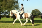 SBM_59905