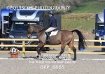 BPP_8665