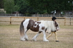 WJ6_7862
