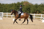 SBM_014736