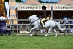 SBM_07779