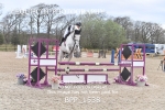 BPP_1538