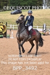 BPP_3492