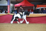 SBM_09619