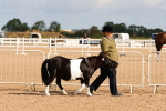 SBM_10951