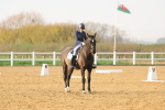 SBM_003353