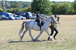 WJ6_7814