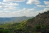 Sierra de Andújar, Andalucia, Spain