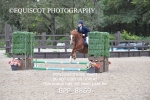 BPP_8869