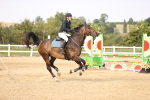 SBM_03689