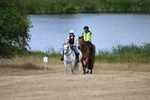 WJ6_9137