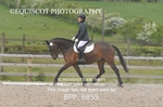 BPP_6855