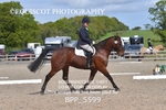 BPP_5599