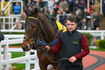 151125-Race 1-Kate ORiley-1932