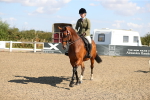 SBM_02354