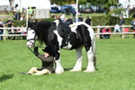 SBM_46984