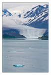 College Fjord