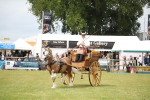 SBM_06986