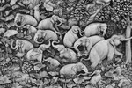 Asia portfolio