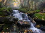 Bumpus Cascades