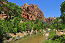 Zion National Pk. -  2012 portfolio