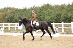 SBM_018260