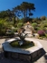 The Abbey Garden, Tresco #3