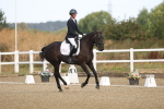 SBM_008446