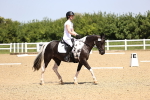 SBM_008605