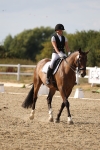 SBM_015784