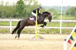 SBM_009164