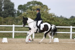 SBM_017976