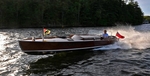 Whippet23-3533