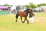 SBM_04188