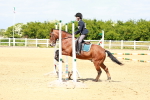 SBM_007790