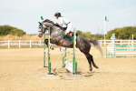 SBM_003478