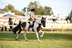 SBM_50185