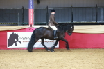 SBM_10511