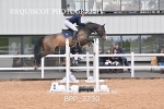 BPP_3230