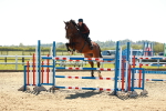 SBM_001925
