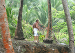 070115 Devils Island - Explorinmg the coconus groves